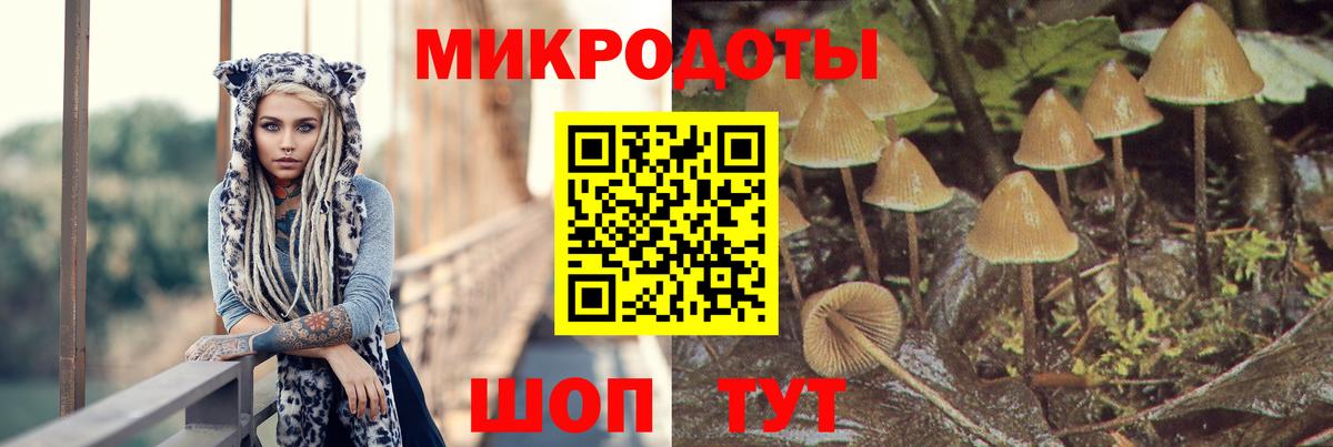 закладка  Вход с VPN  Галлюциногенные грибы прущие грибы  Прокопьевск  Псилоцибиновые грибы Cubensis 