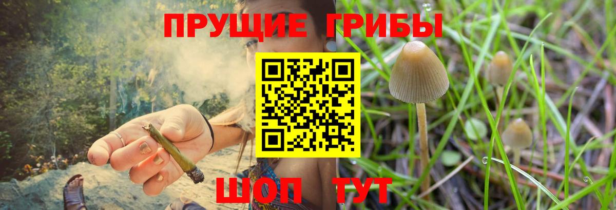 Псилоцибиновые грибы прущие грибы Прокопьевск